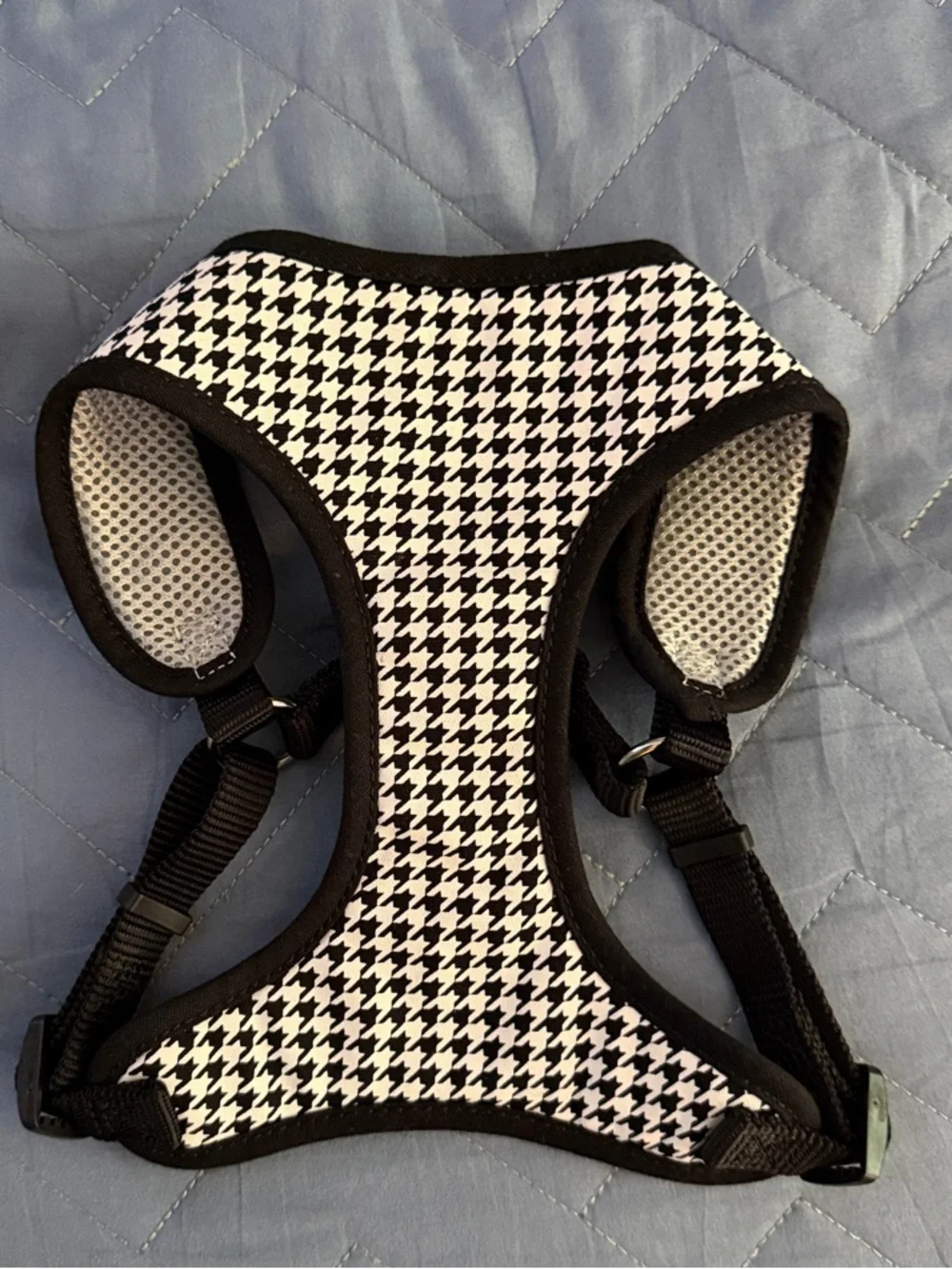 Coastal Dog Harnesses NEVER USED!!